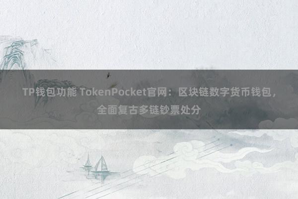 TP钱包功能 TokenPocket官网：区块链数字货币钱包，全面复古多链钞票处分