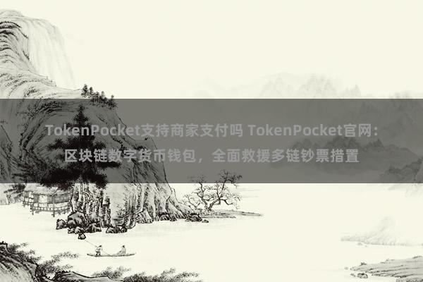 TokenPocket支持商家支付吗 TokenPocket官网：区块链数字货币钱包，全面救援多链钞票措置